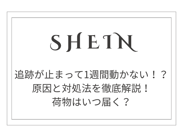 【SHEIN追跡が止まって1週間動かない】原因と対処法を徹底解説！荷物はいつ届く？